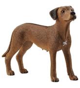 Schleich Djur - H: 6 cm - Rhodesian Ridgeback 13895