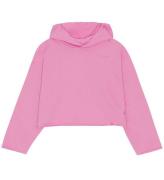 Molo Hoodie - Maddy - Wild Orchid