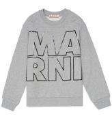 Marni Sweatshirt - GrÃ¥melerad m. Svart