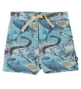 Molo Shorts - Simroy - Forntida Ocean