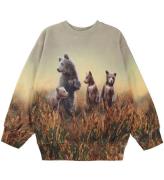Molo Sweatshirt - Mattis - Bear Life