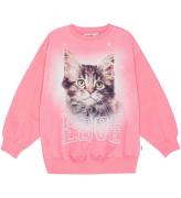 Molo Sweatshirt - Monti - Mer Love Cat