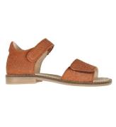 Wheat Sandaler - Amber Brown