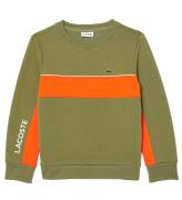 Lacoste Sweatshirt - Khaki/Boy