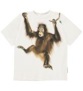 Molo T-shirt - Rillo - Palmtree Monkey