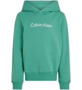 Calvin Klein Hoodie - Inst. Logo - Bahamas Green