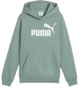 Puma Hoodie - Green MÃ¥nen m. Vit