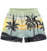 Molo Shorts - Solar - Palm Baby Nanas