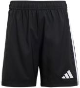 adidas Performance Shorts - Tastigo25 - Svart