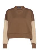Color-Blocked Cropped Fleece Sweatshirt Brown Polo Ralph Lauren