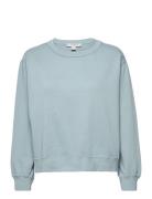 Pippa Embroidered Sweat Blue AllSaints