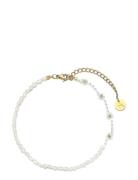 Daisy Freshwater Bracelet Gold Sui Ava