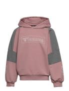 Hmlboxline Hoodie Hummel