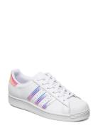 Superstar Shoes White Adidas Originals