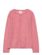 Cardigan Knit Pink Creamie