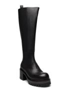 Ankle Boots Black Laura Bellariva