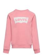Levi's® Batwing French Terry Pullover Pink Levi's