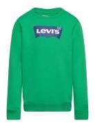 Levi's® Batwing Crewneck Sweatshirt Green Levi's