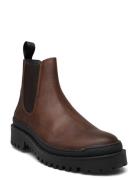 Boots - Flat Brown ANGULUS