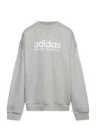 Fleece Crew Sweatshirt Kids Grey Adidas Sportswear