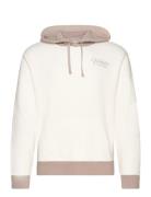 Hco. Guys Sweatshirts White Hollister