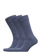 True Ankle Sock 3-Pack Blue Amanda Christensen