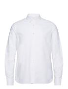 Harald Small Owl Oxford Regular Fit White Knowledge Cotton Apparel