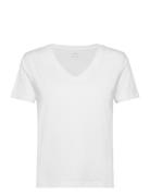 100% Cotton V-Neck T-Shirt White Mango