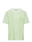 G 3S Bf T Green Adidas Performance