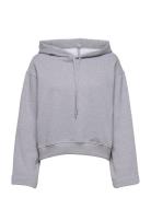 Jeroma Bp Grey Baum Und Pferdgarten