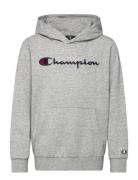 Hooded Sweatshirt Grey Champion