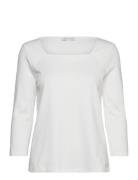 T-Shirt Carré Neck White Tom Tailor