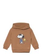 Snoopy Textured Sweatshirt Brown Mango