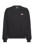 Millersburg Sweatshirt W Black Dickies