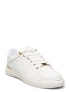 Iconispec White ALDO