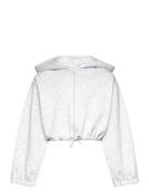 Cropped Hoody Jacket Grey Tom Tailor