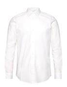 Poplin Shirt White Tom Tailor