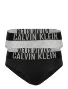 2 Pack Bikini Grey Calvin Klein