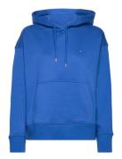 Icon G Essential Hoodie Blue GANT