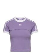 Always Original T-Shirt Purple Adidas Originals