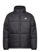 Bsc 3-Stripes Puffy Hooded Jacket Black Adidas Sportswear