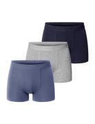 3-Pack Boxer Brief Mixed Color Blue Bread & Boxers