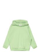 College Hoodie Green Gugguu