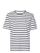 Striped Ss T-Shirt Navy GANT