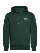 Small Logo Hoodie Green GANT