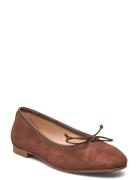 Ballerina Classic Brown Apair