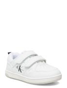 Low Cut Velcro Sneaker White Calvin Klein