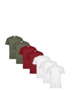 Basic O-Neck Tee S/S 7 Pack Patterned Lindbergh