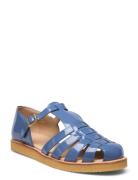 Sandals - Flat - Closed Toe - Op Blue ANGULUS