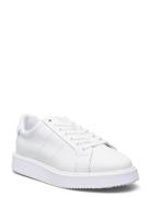 Angeline Iv Action Leather Sneaker White Lauren Ralph Lauren